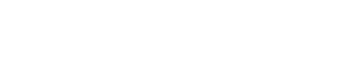 Fenomoney Logo